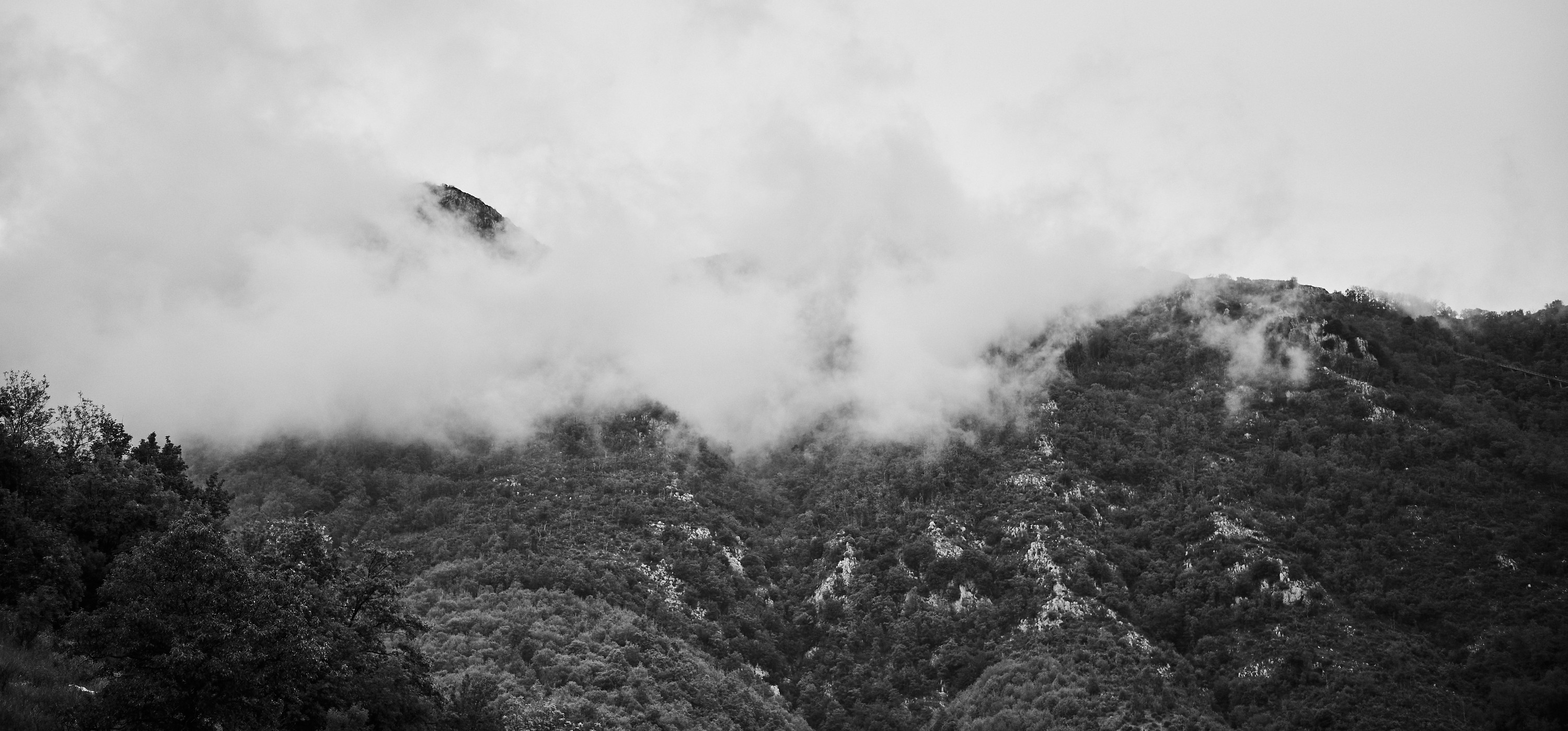First Z6III test frame